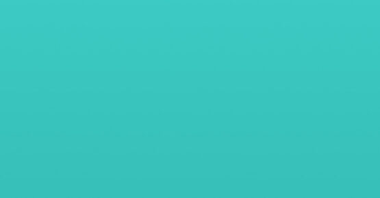 gallery placeholder