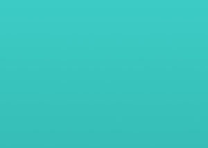 portfolio placeholder portfolio placeholder