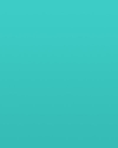 portfolio placeholder