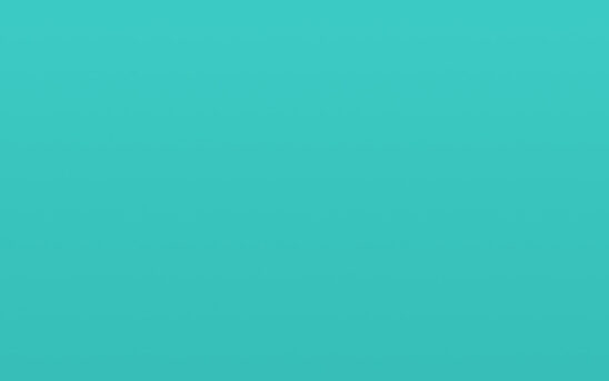 portfolio placeholder