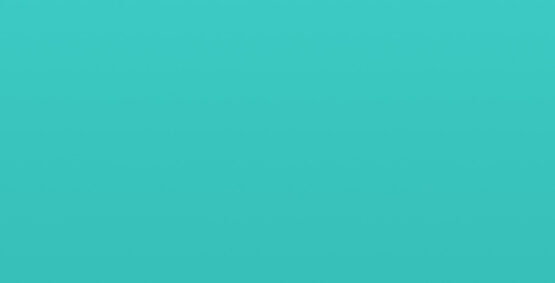 portfolio placeholder