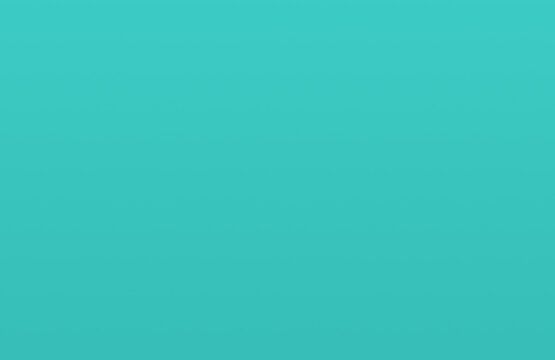 portfolio placeholder