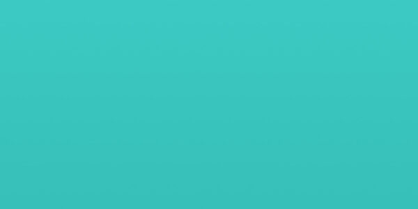 portfolio placeholder