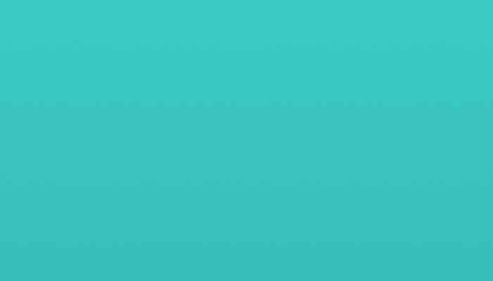 portfolio placeholder
