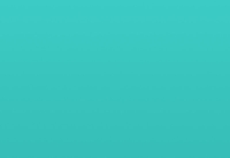 portfolio placeholder portfolio placeholder