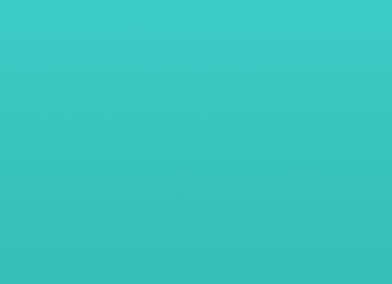 portfolio placeholder portfolio placeholder