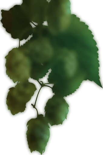 beer hop left.png