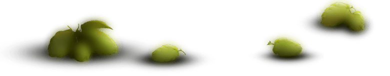 beer hop table min.png