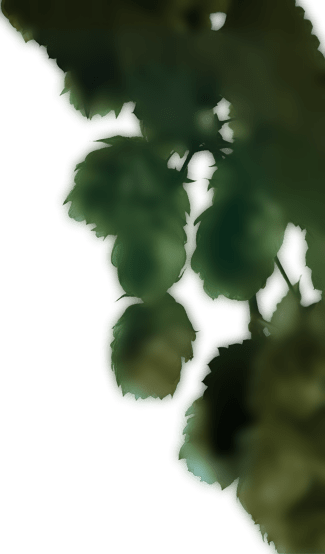 hop right min 1.png