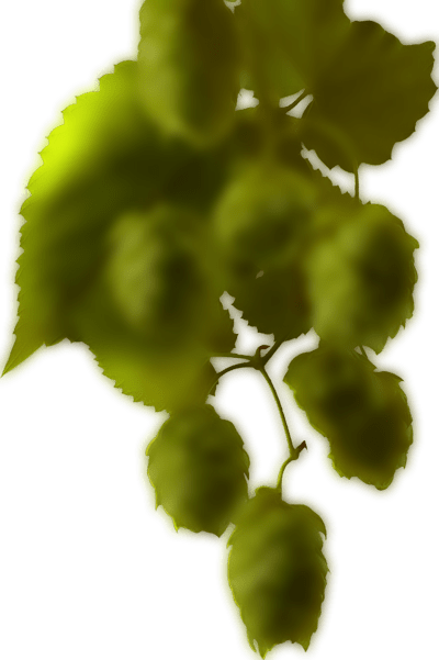 hop right min.png