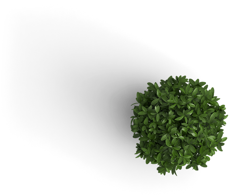 plant.png