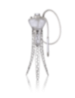sepia4 coralica.png