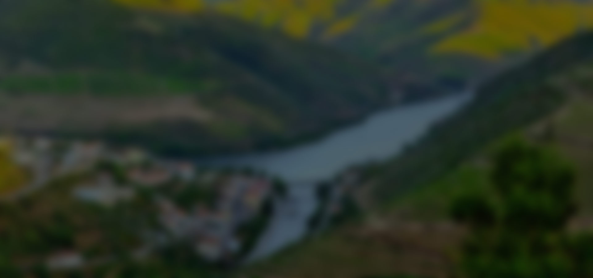 Slider Main Img 1