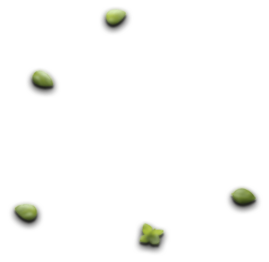 sushi leaf 2.png